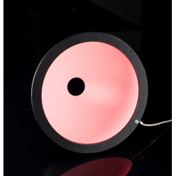  RGBW Illumination - IDS5